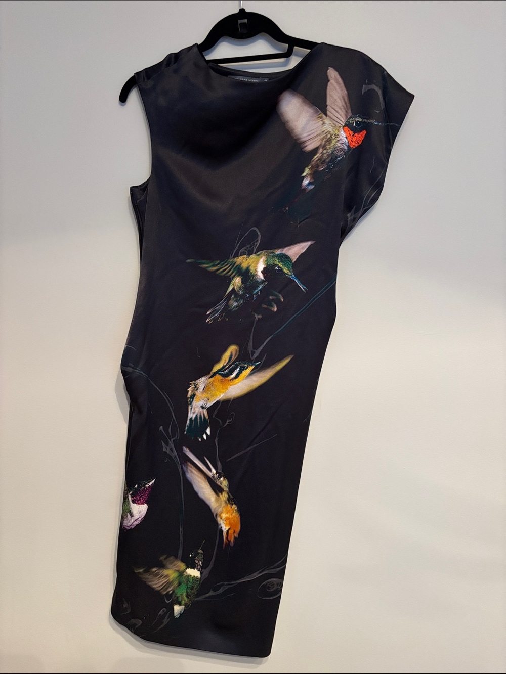 Alexander McQueen Black Dress with Multicolor Hummingbird Print
